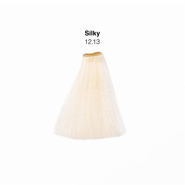 Silky color 12.13
